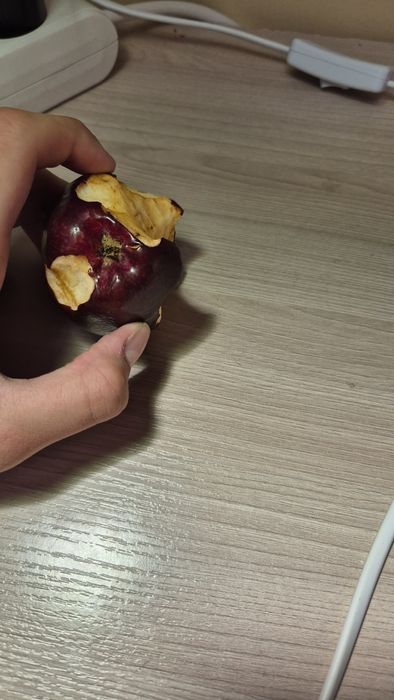 огрызок яблока (погрызан)