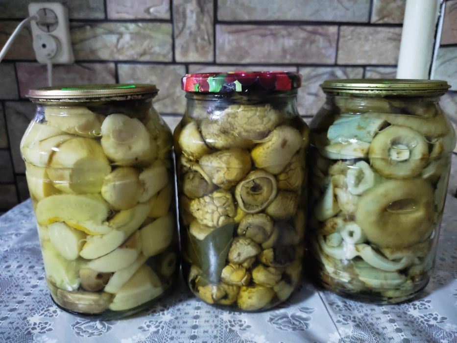 Продаю грибы Маринованные