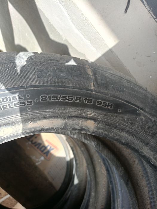 Trekir baloni va poligi sotiladi