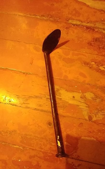 Сапожник лапа железо.