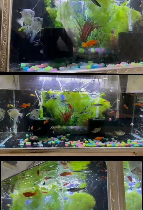 Акварим 250литр комплекте все