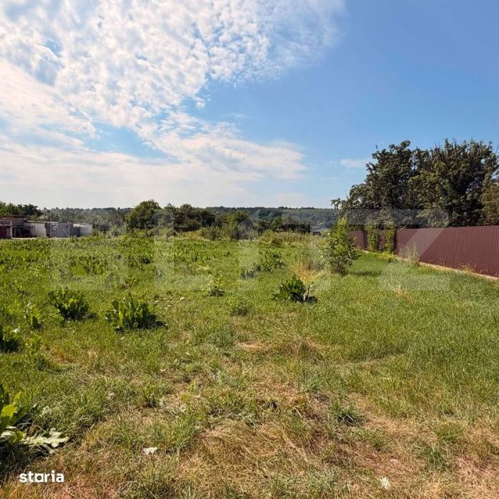 Teren intravilan in Bogdanesti, 3600 mp, zona Profi