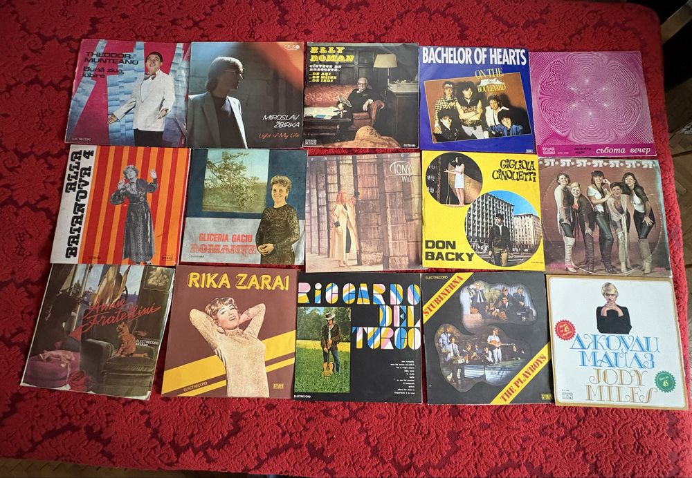 Discuri vinil de colectie