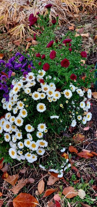 Продам дачу 7.5 соток район телецентра