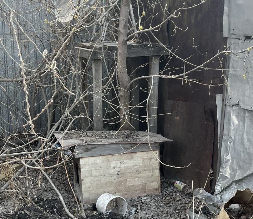 Будка для собаки