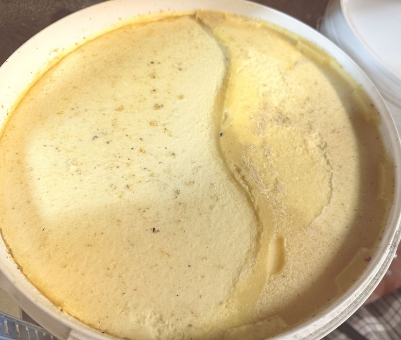 Продам мед с личной пасеки