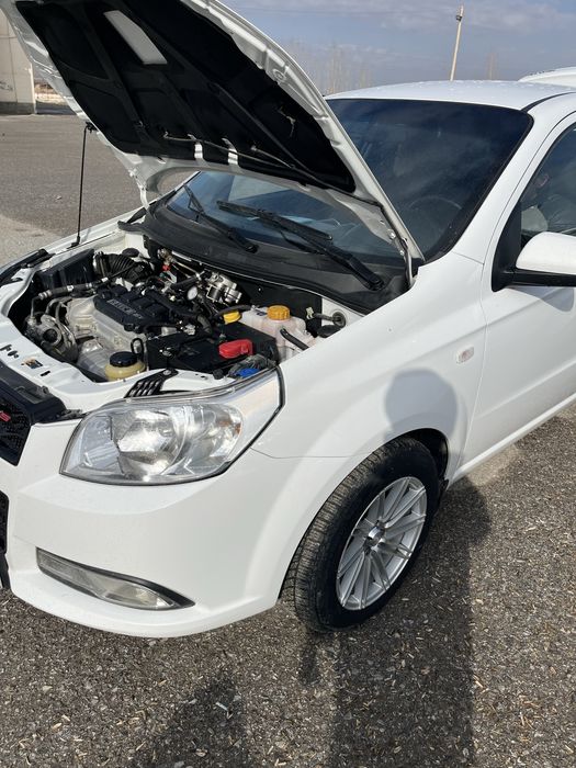 Nexia 3 kraska tozza