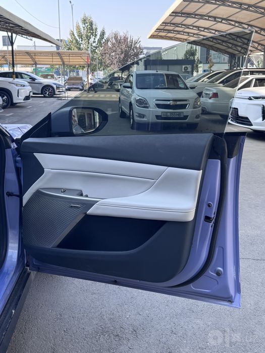 Dongfeng 007pro 2024y EV530