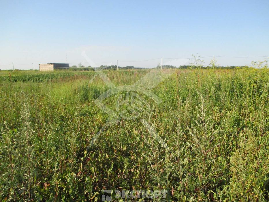 Парцел Войводиново 87124