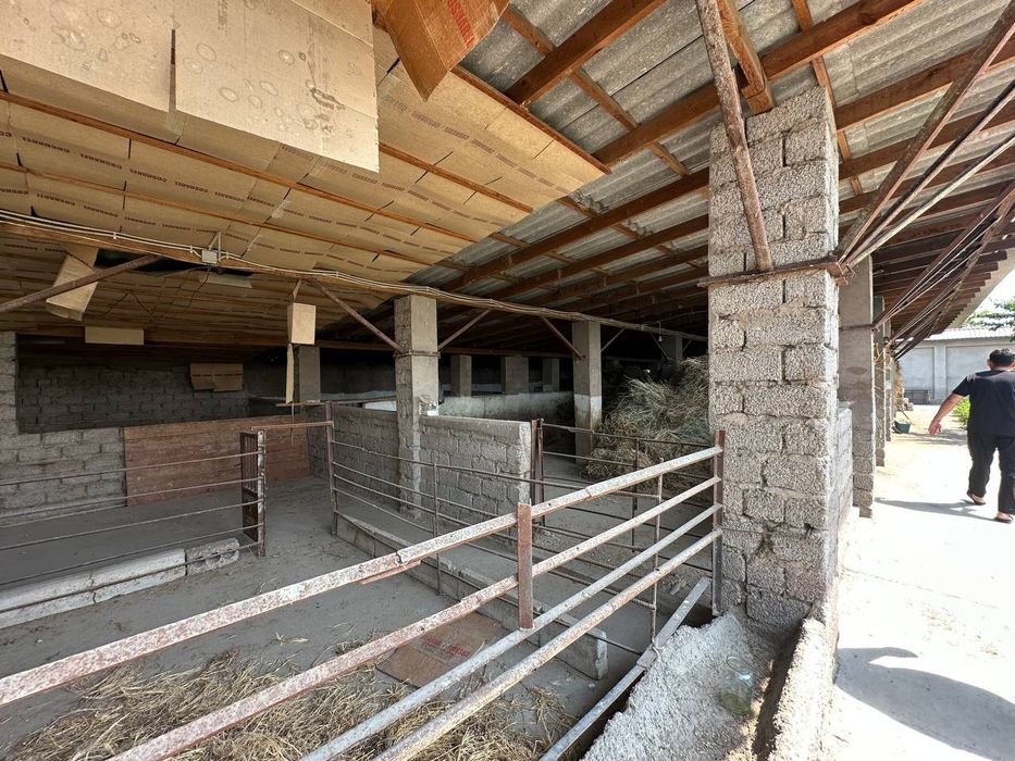 Срочно продается участок-ранчо 32 сотки Янгиюль Захарьевский