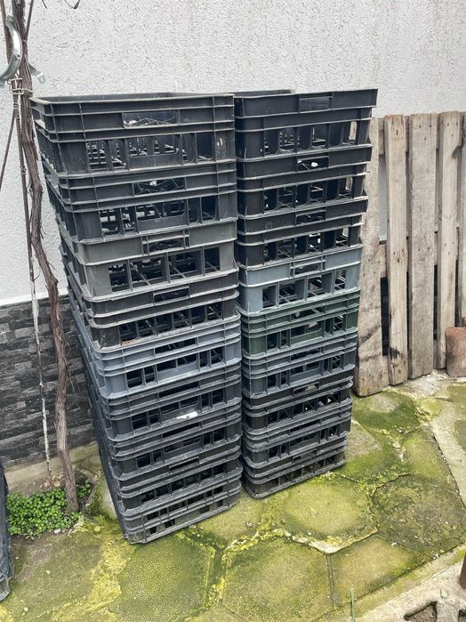 Каси за кисело мляко