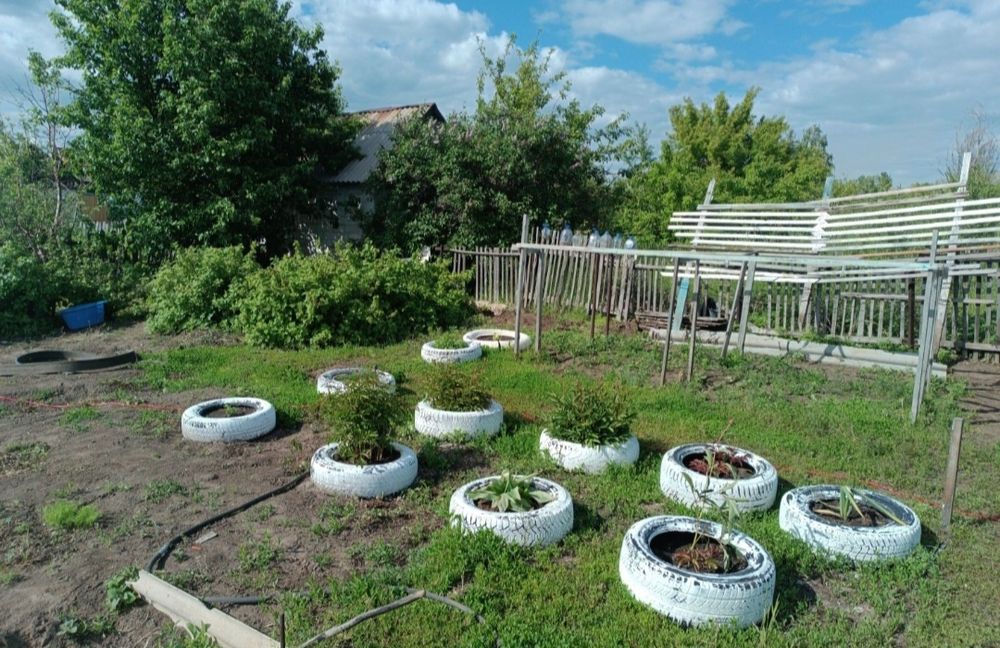 Продам ухоженная дачу с насаждениями