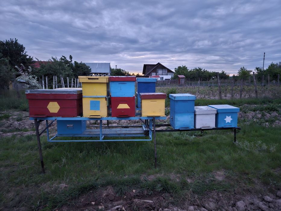 Vand cadru stupi