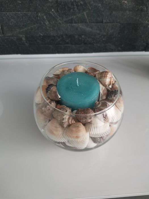 Vand scoici/melci
