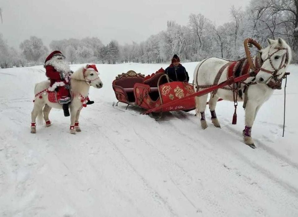 продам сани -волокуши большие
