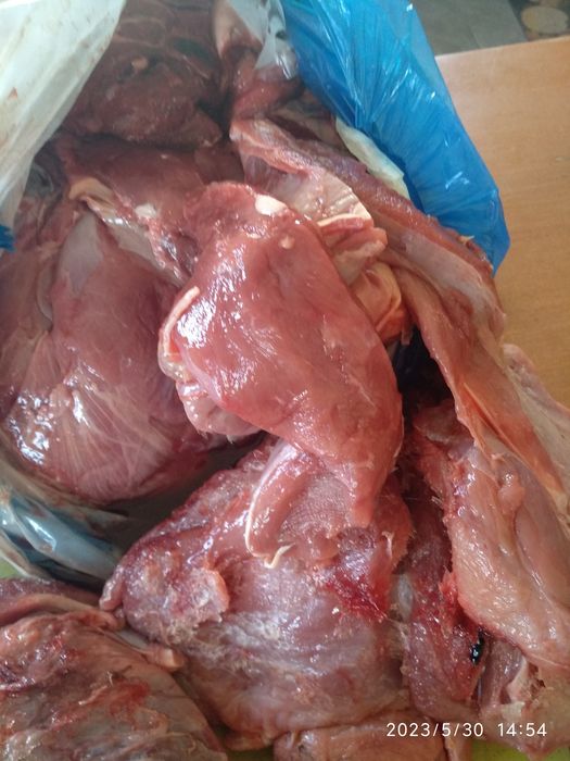 Обрезь,Мясо для собак