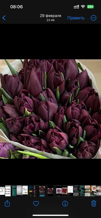 Тюльпаны оптом к 8 марта от 420 тенге