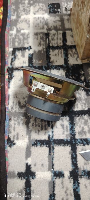 kalonka arginal bass