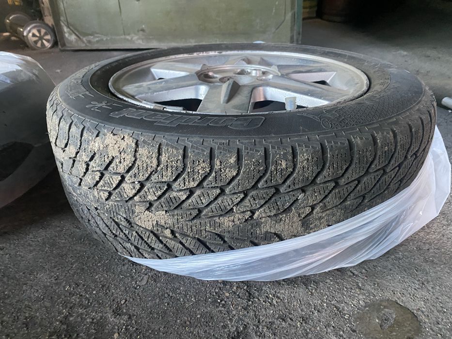 Ризина зима R16