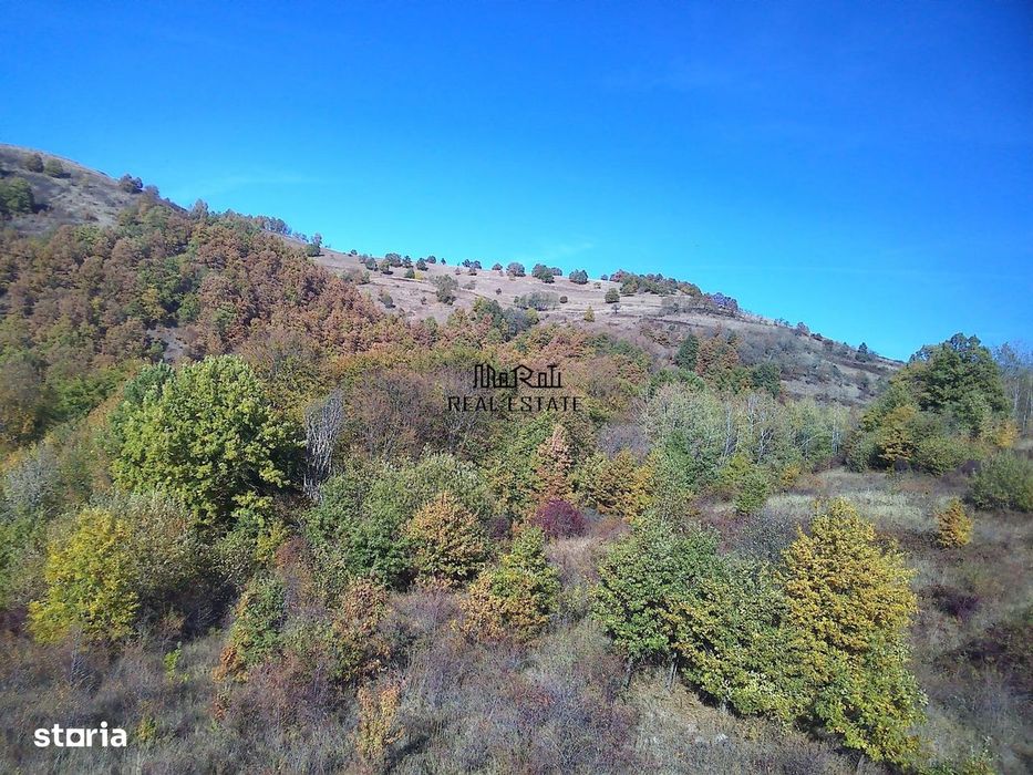 Teren in Apuseni Valisoara