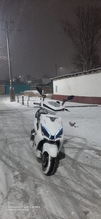 М 10 Звер нахаду