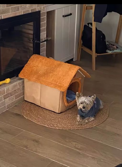 Căsuța animăluțe