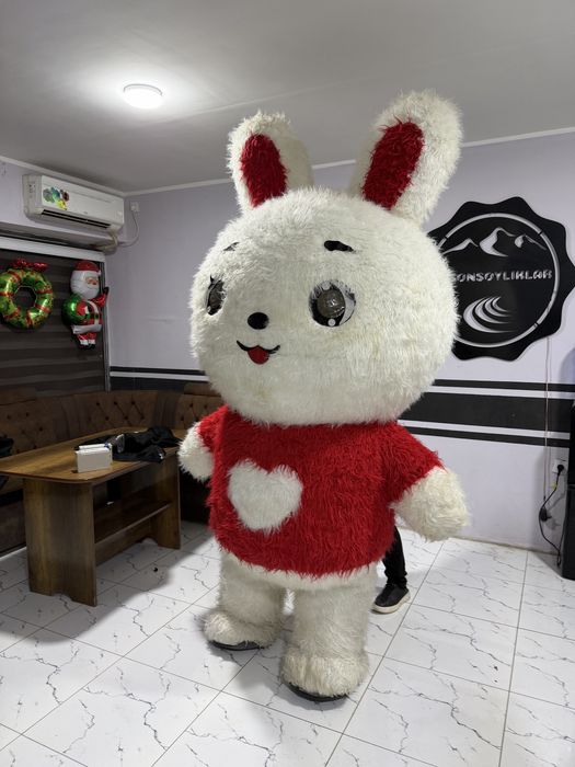 Animator Quyoncha sotiladi