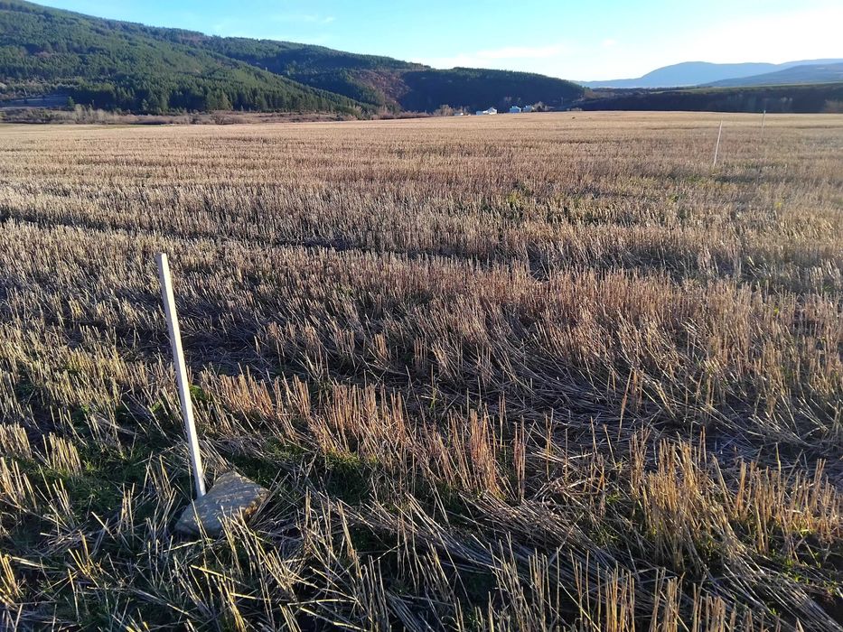 Продава се Земеделски имот в Батановци -  кв.м за 4 €/дка - Снимка #8