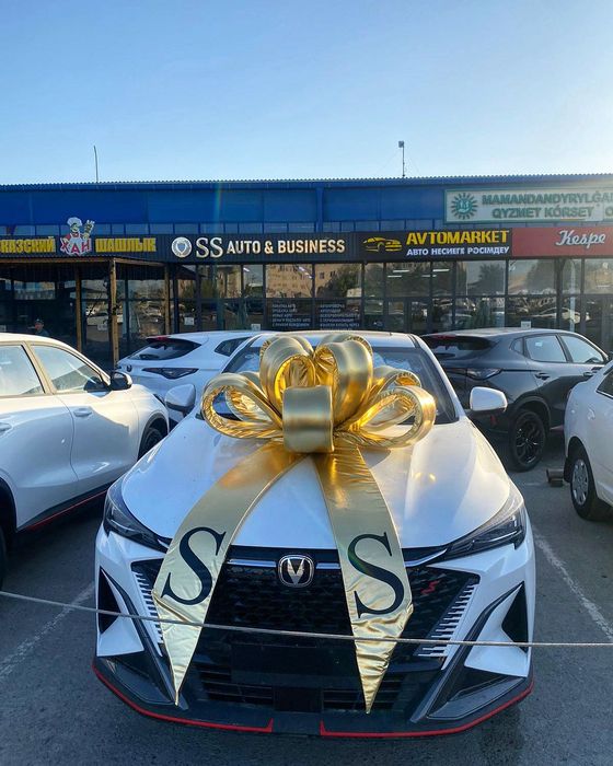 Красивые банты на машину