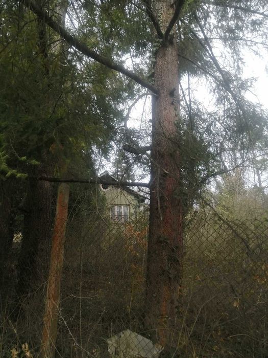 Продава се Къща в с. Свидня, Област София-област - 85 кв.м за 270 €/кв.м - Снимка #9