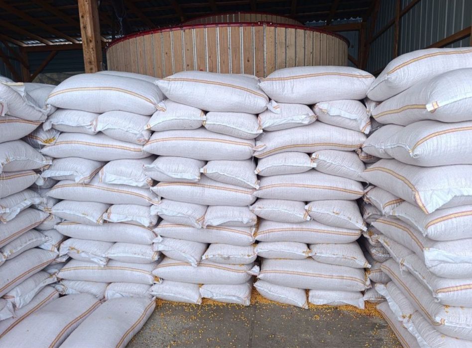 Vând Porumb uscat gata pus in saci cu transport la domiciliu