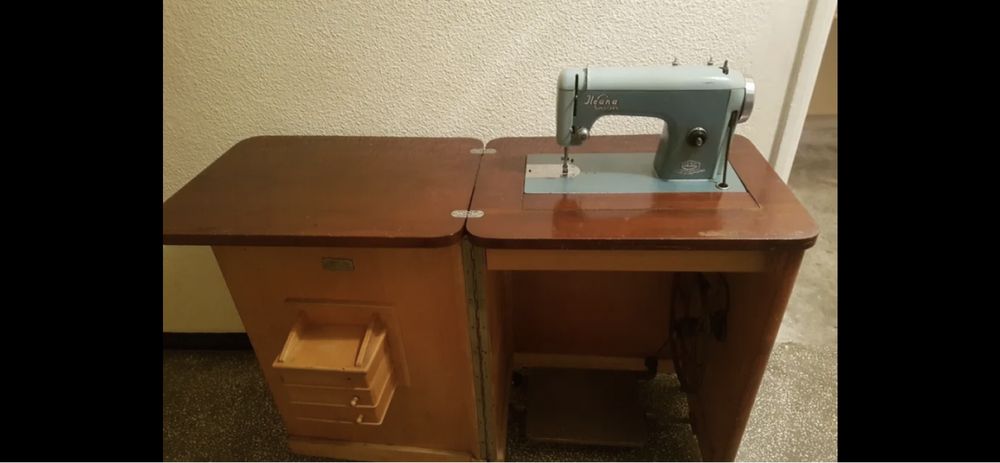 Maina de cusut  Veronica