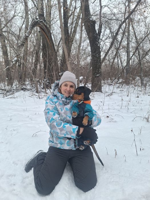 Пропала собака такса кобель