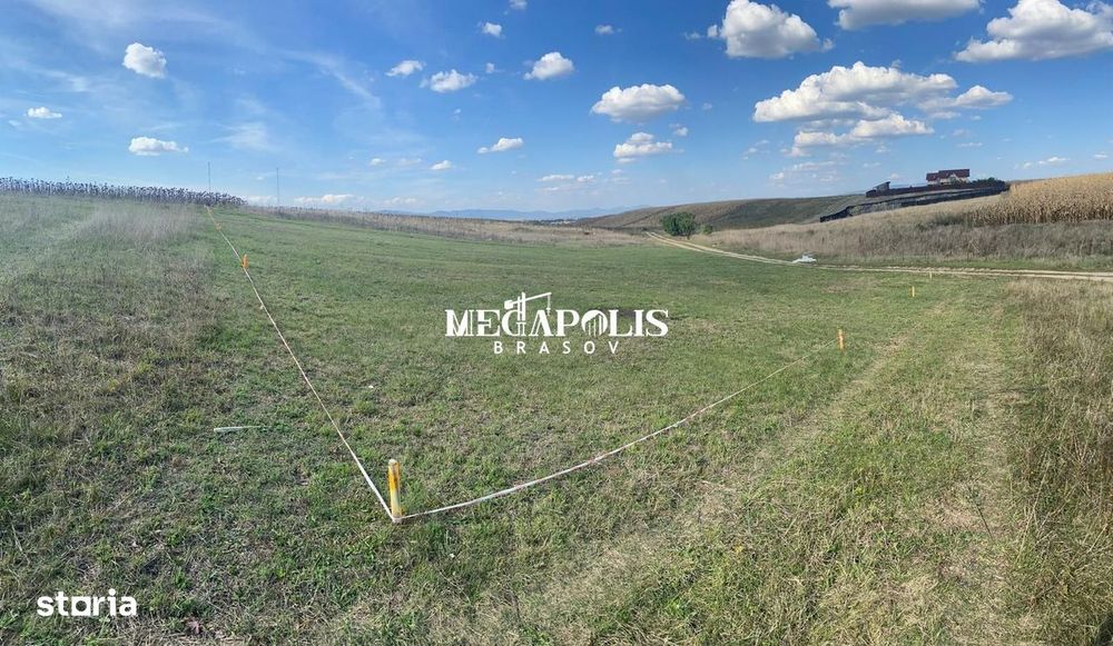 Teren Bod 1200mp/ 37 euro mp