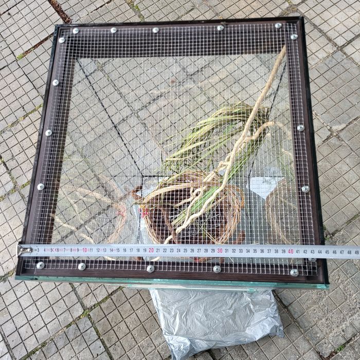 Терариум с мрежест таван и декорация