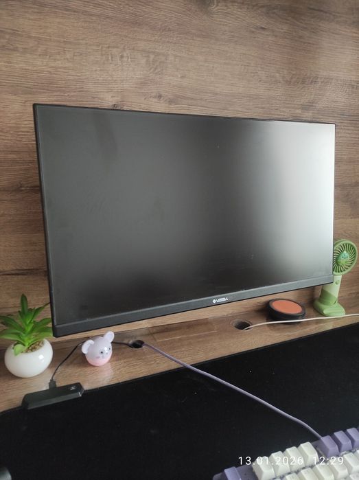 Монитор Vega 24"