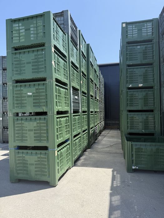 Boxpaleti plastic