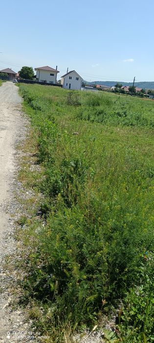 Teren intravilan gilau