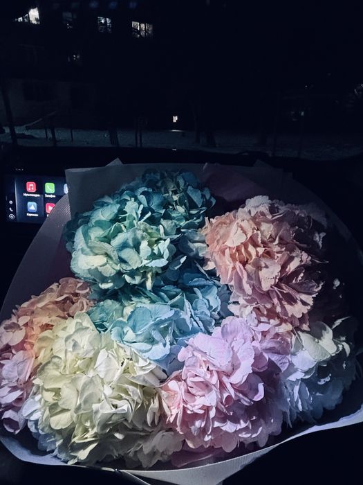 Гортензия взял за 22к продам 10к