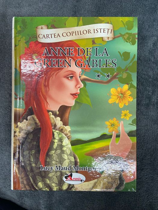 Carti si lot haine fetita 11-12 ani