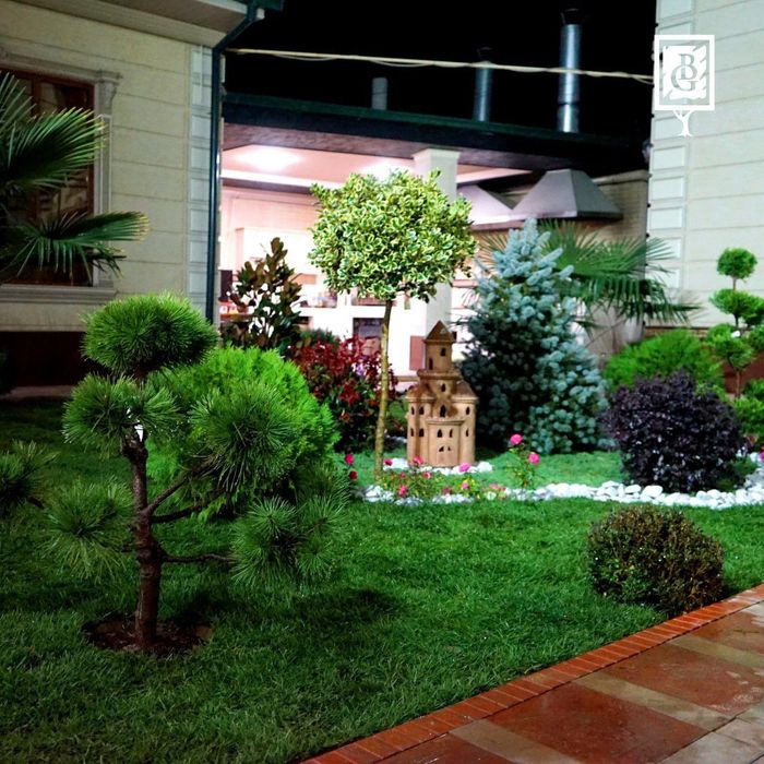 Ландшафт хизматлари Газон екиш водапат