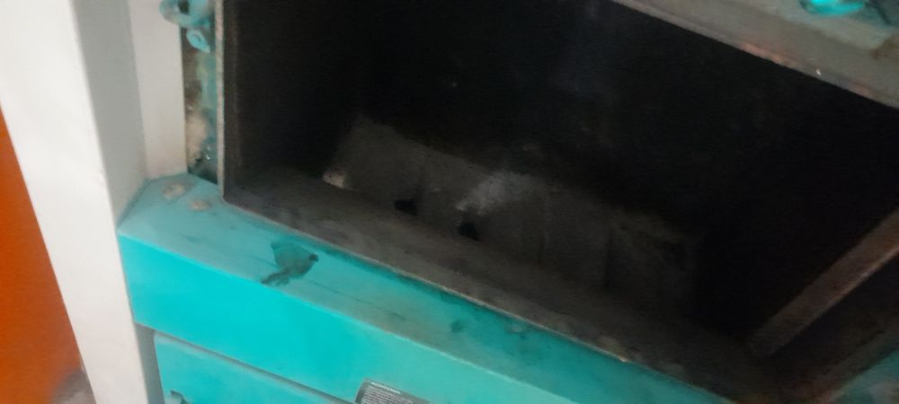 Centrala pe lemne cu ventilator 32 kw