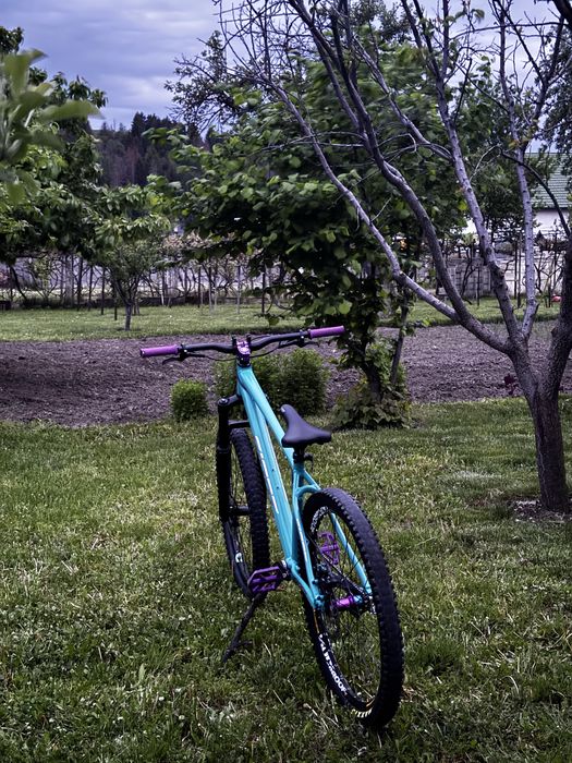 Vand bicicleta Giant custom hardtail