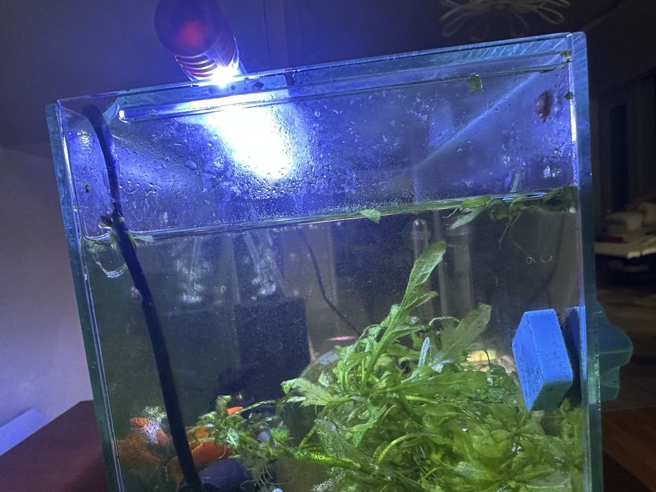 Авариум 15 литра с камани