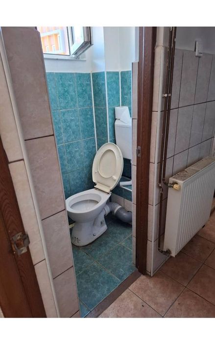 Proprietate mixtă, locuință + spații comerciale,atelier , Sântana