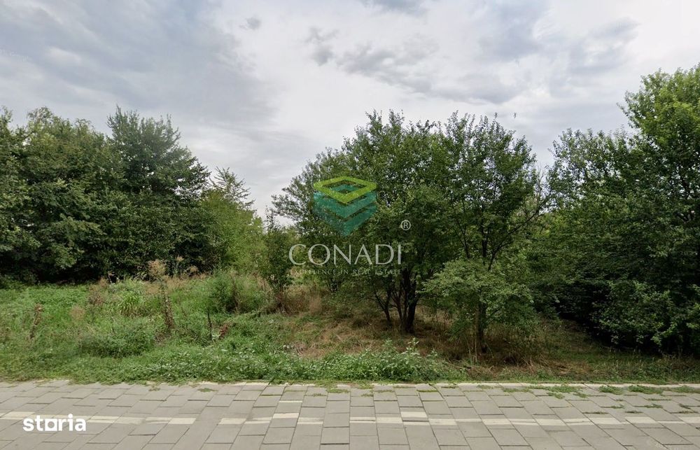 Teren de vanzare 1500mp | Snagov | Deschidere Stradala