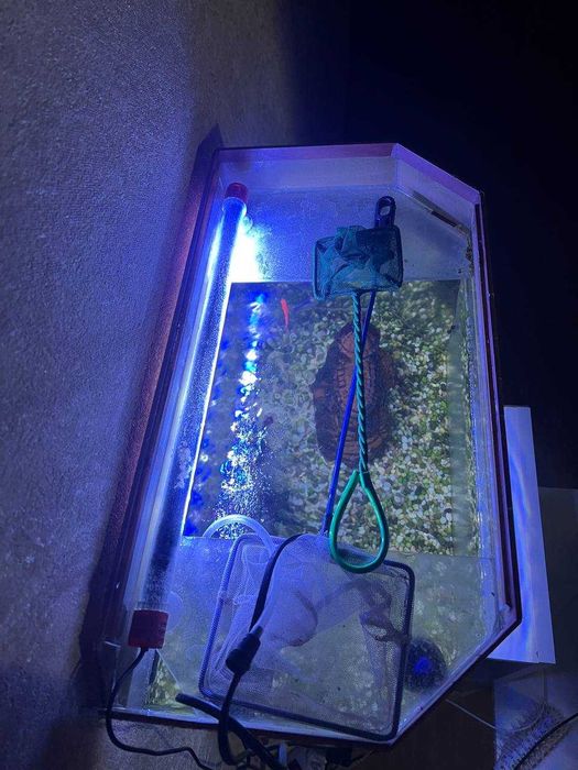 Продаю аквариум 30 литров