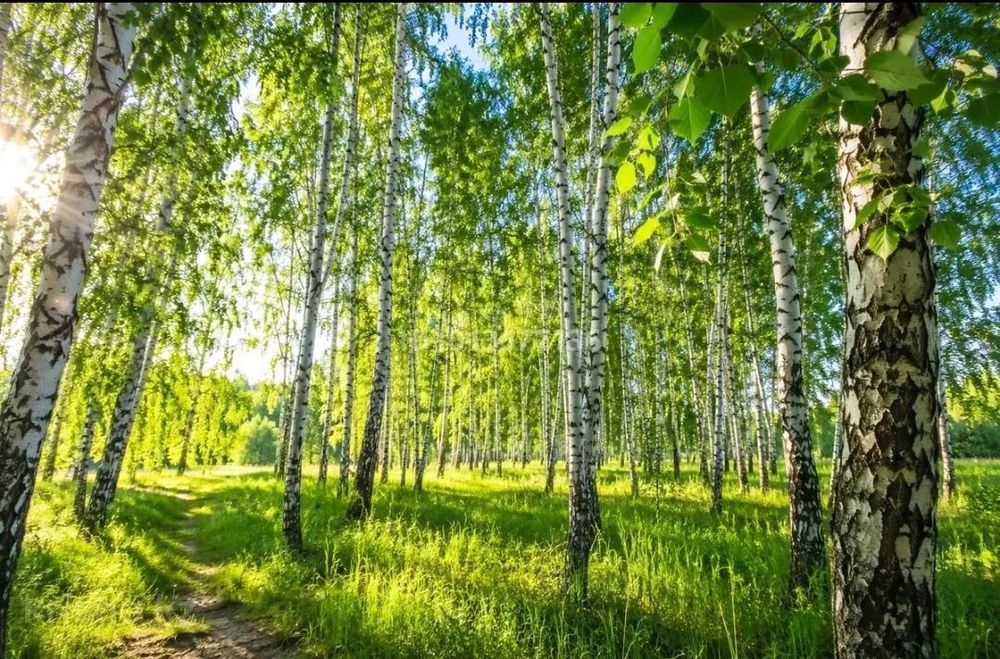 Продам 3х комнатную квартиру