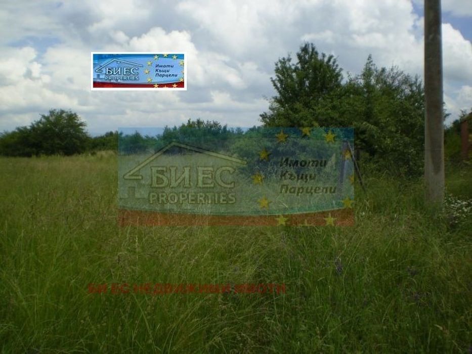 3 парцела в с. Дебели лаг с обща площ - 2250 м²