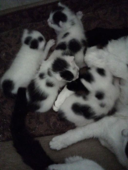 Предновогодняя распродажа